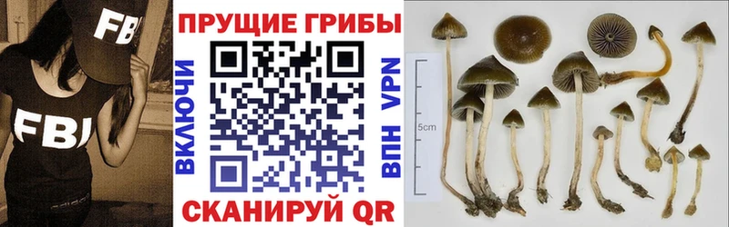 Галлюциногенные грибы MAGIC MUSHROOMS  Павловский Посад 